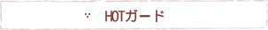 HOTガード